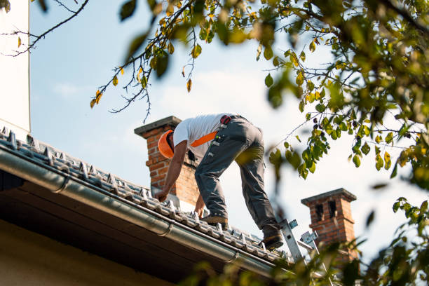 Best Roof Maintenance Services  in Blue Hills, CT